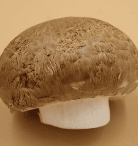 Brown Button Mushrooms