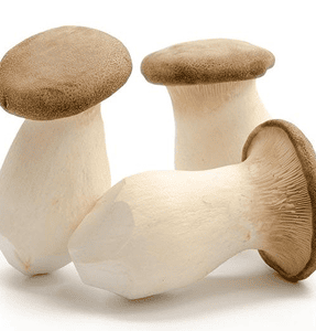 King Oyster Mushrooms