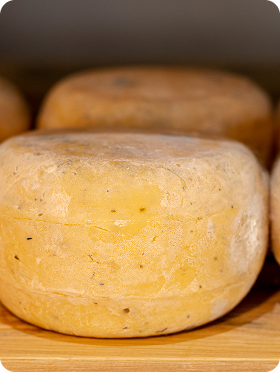 delicious-variety-rustic-cheese 1