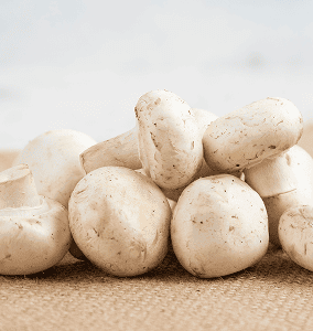White Button Mushrooms