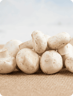 white-mushrooms-isolated-piece-burlap 1